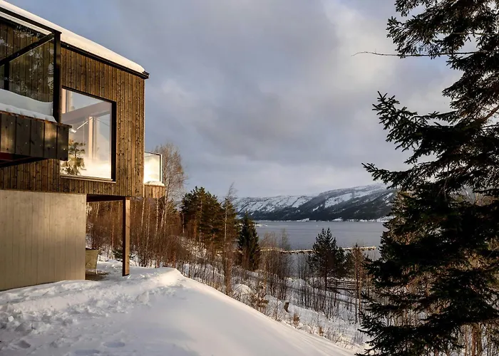 Designer By Nisser With View And Sauna * Treungen